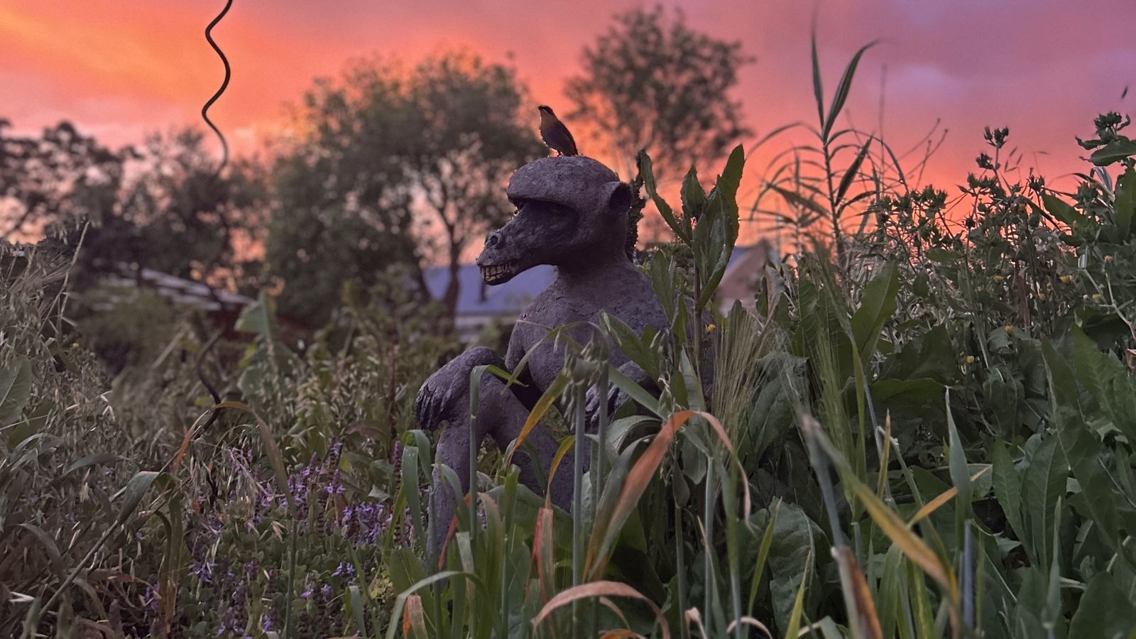 A stone baboon statue with a small bird on its head stands among tall plants against an orange and purple sunset sky